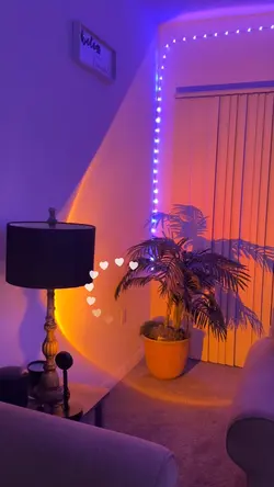 Vibes 