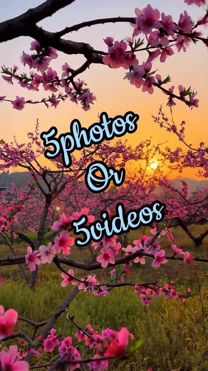 5photos / vidéos