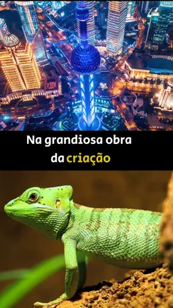 Divisão de imagens