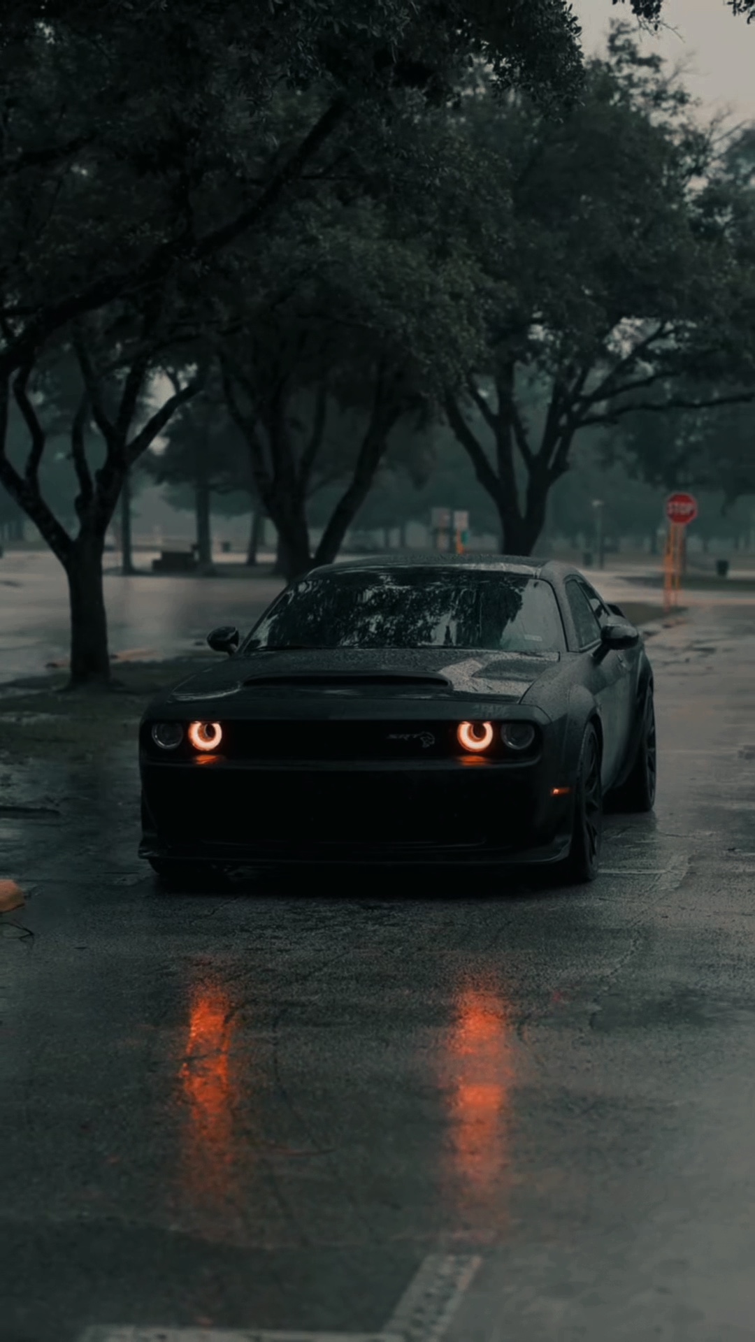 ARABA | DODGE | 3VİDEO