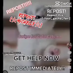 REPOST PLS!!