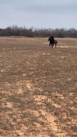 ⚠️FAKE AI GENERATED⚠️