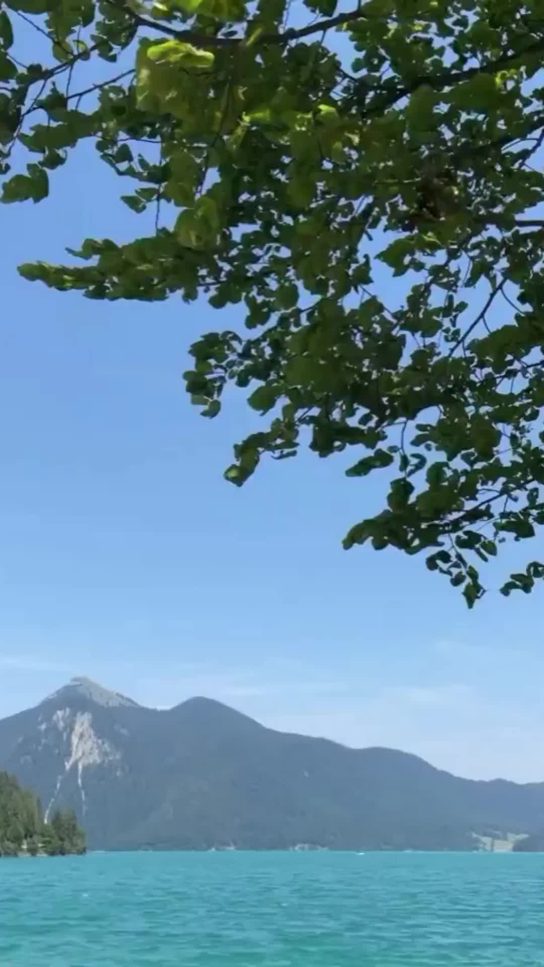 Transição de mão 