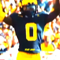 Michigan Wolverine