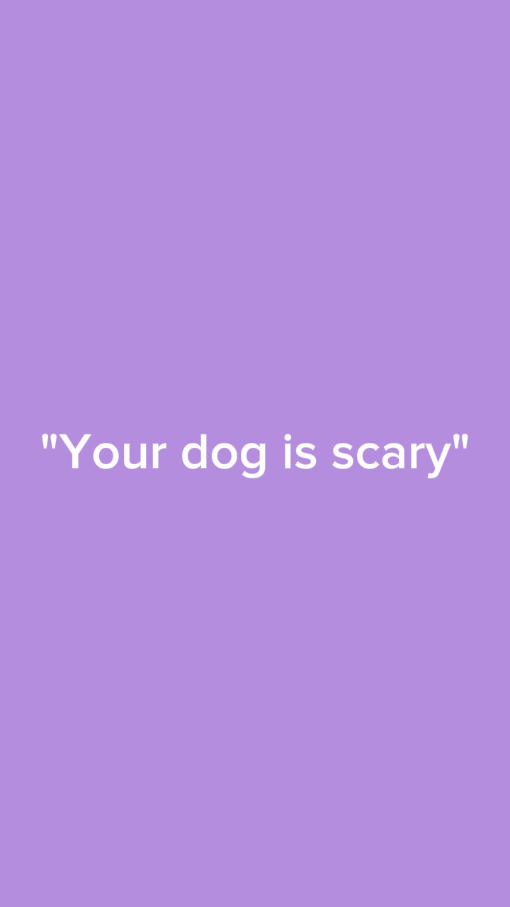 "Your dog is scary"