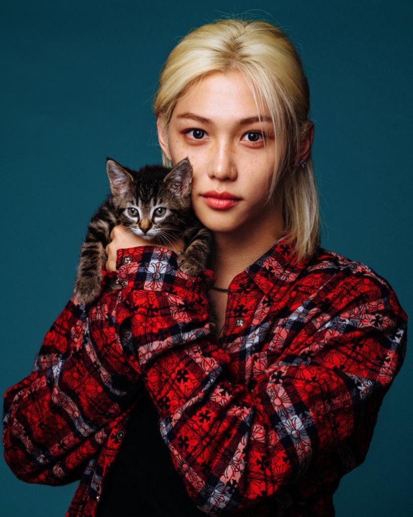 Kätzchen Katze Miau
