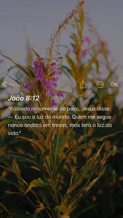 Versículo diário 