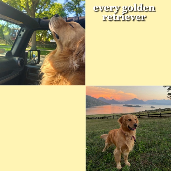 💛Retriever + 🖤chat