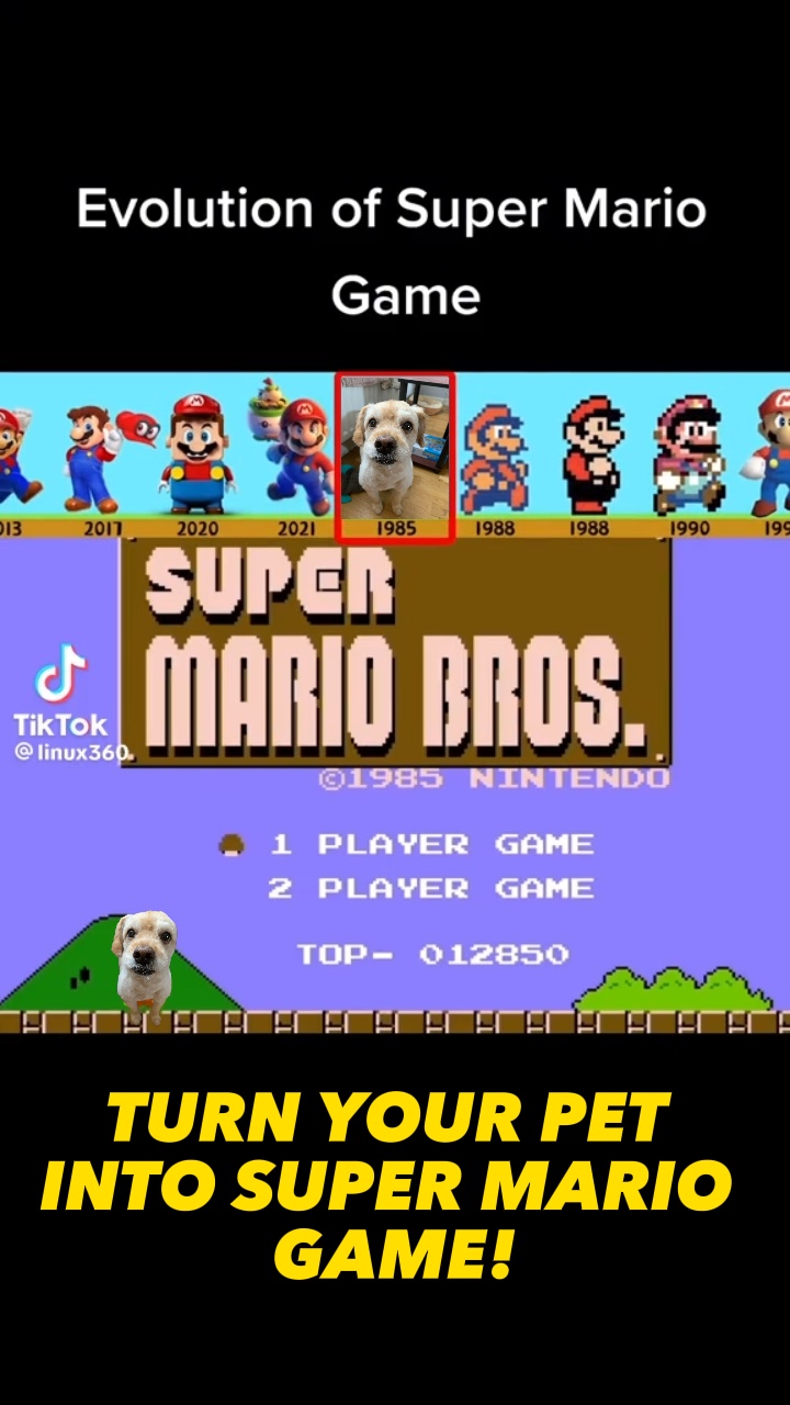 Anjing Super Mario 