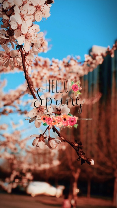 Hello spring 