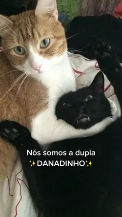 Dupla ✨DANADINHO✨