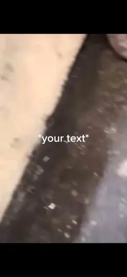 Bye fish