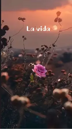 Reflexión ✨💫