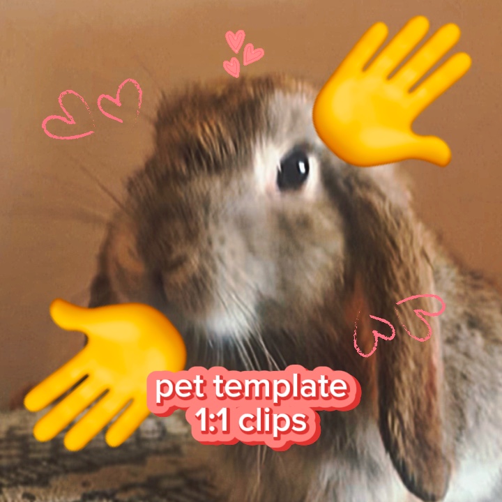 pet template