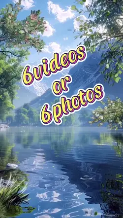 6videos/6photos