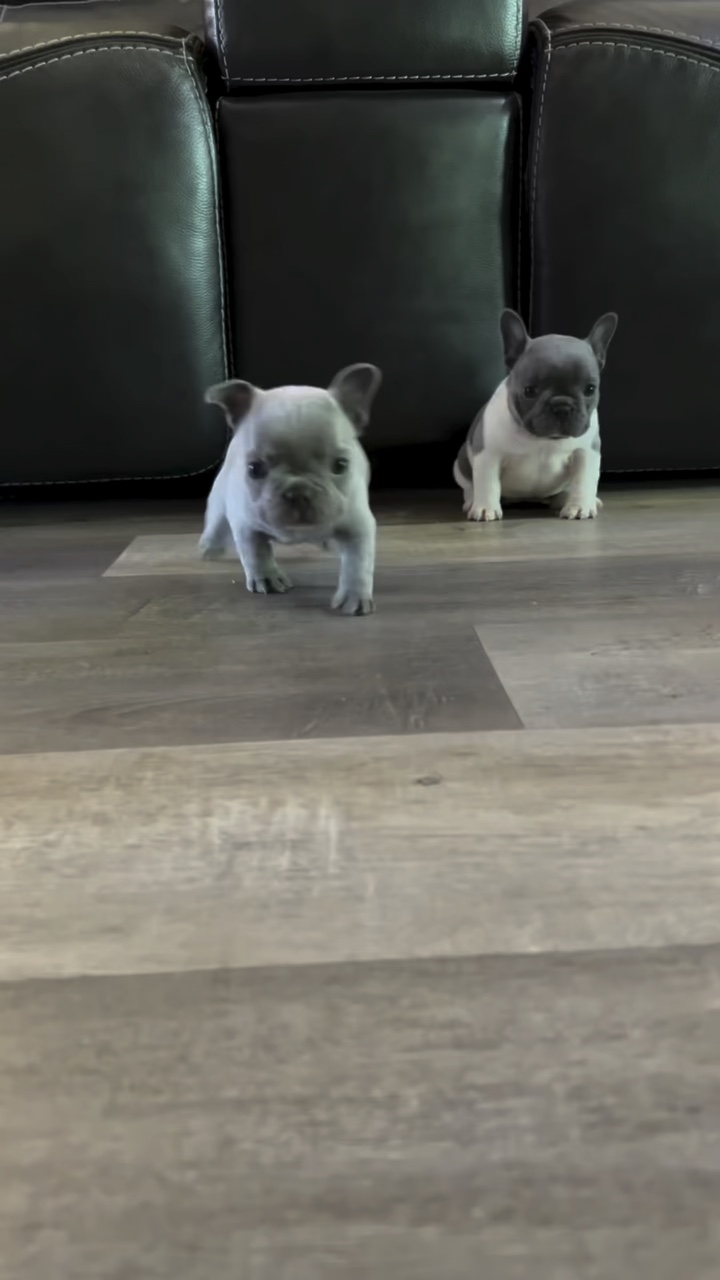 We ❤️ all sizes