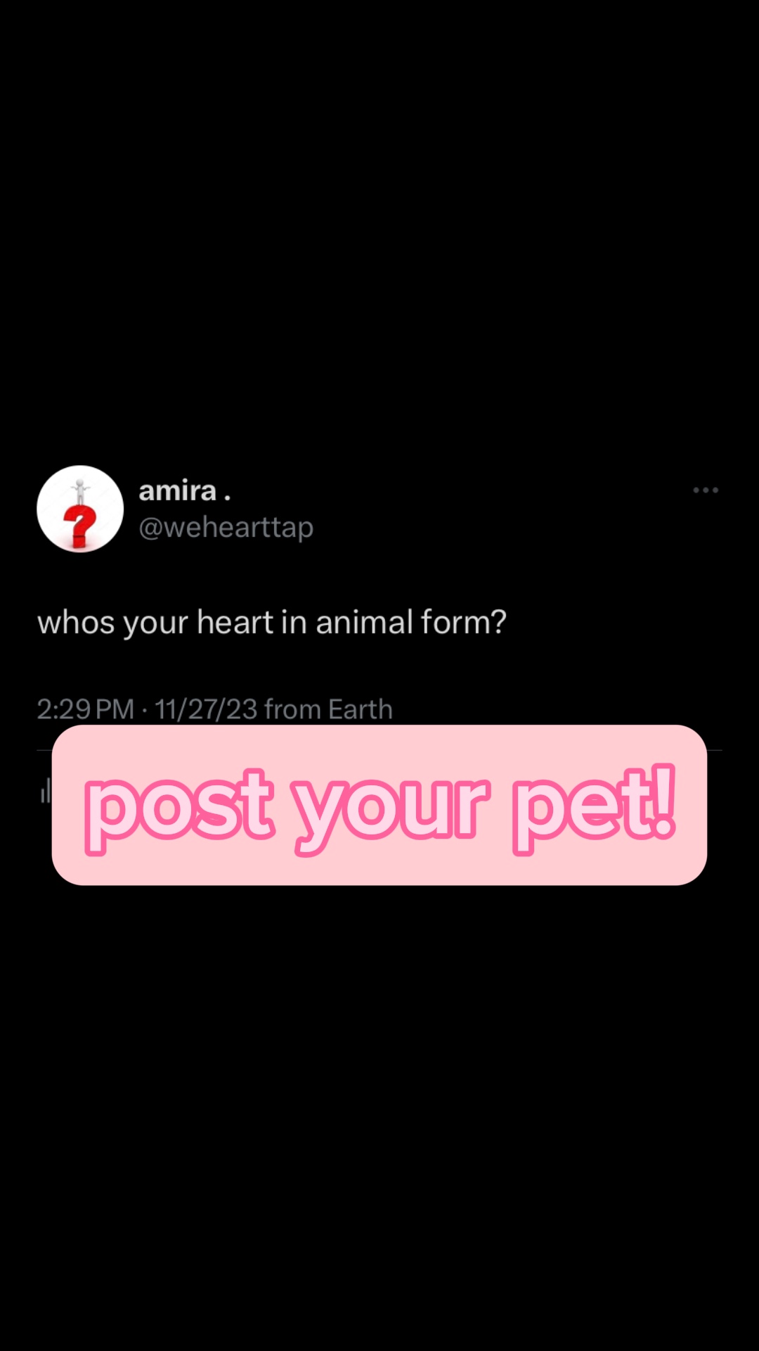 (🫀) in Tierform♥️