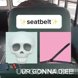 ✨seatbelt✨