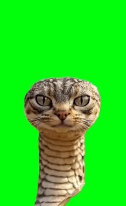cat snake
