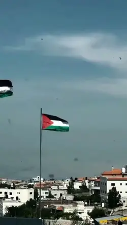FREE PALESTINE 🇵🇸 