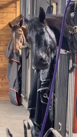 oh, he’s so cute! 