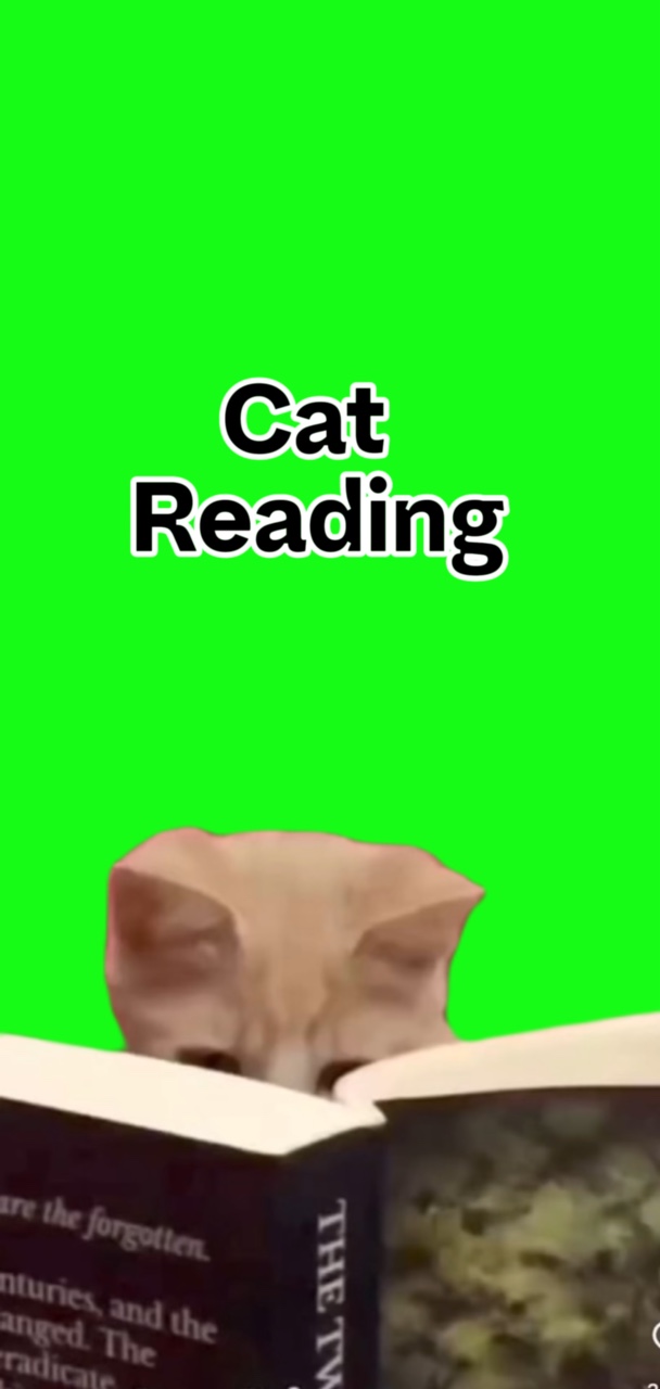Lectura de gatos 
