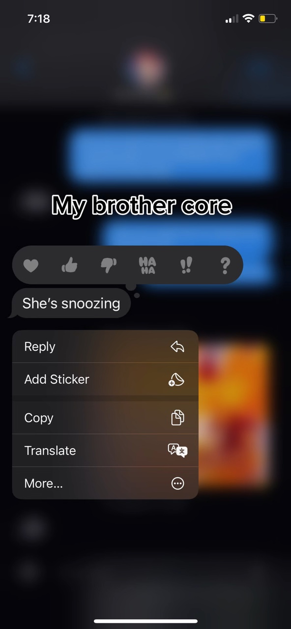 My brother core