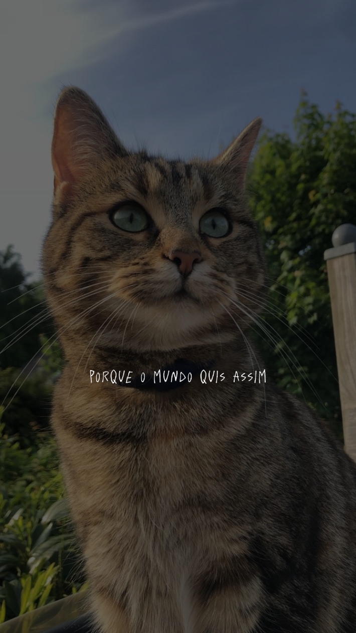 Eu sou rebelde