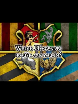 Hogwarts House💚💙❤️💛