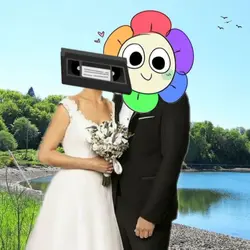 Best ship ngl