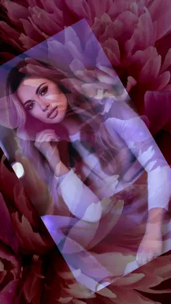 Filters animations