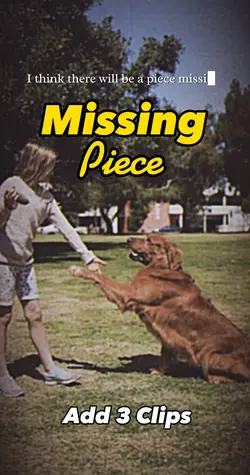 Missing Piece 