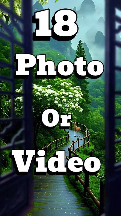 18 photo or  video 