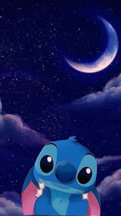 Stitch Ohana 🌺