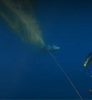 Marlin attack 