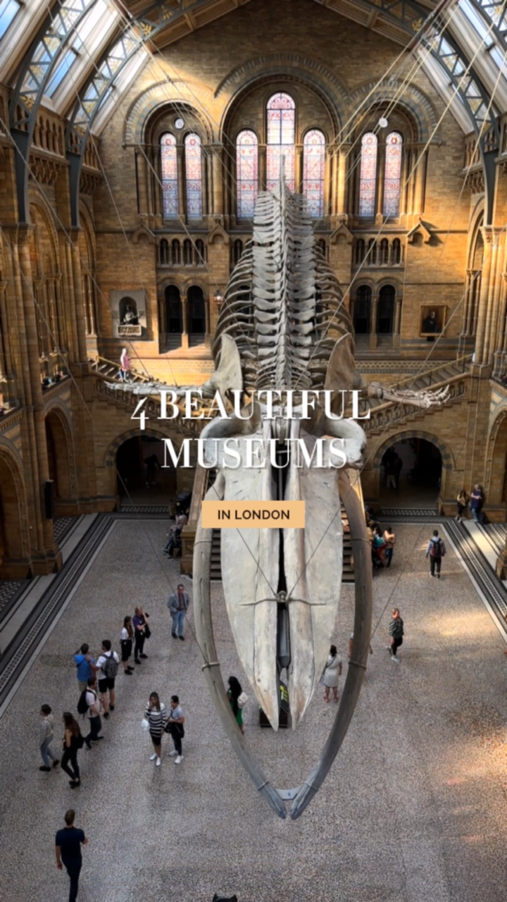 Museumsbesuch 