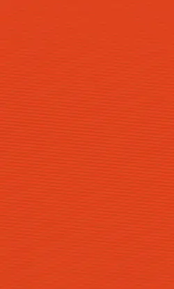 Digital hallucinatin