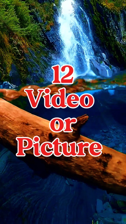 12 video o larawan 