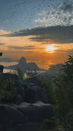 Rio de Janeiro 