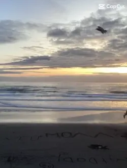 Try this on a sunset