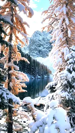 Winter is Coming