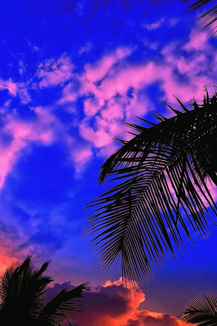 Sky Filter Edit
