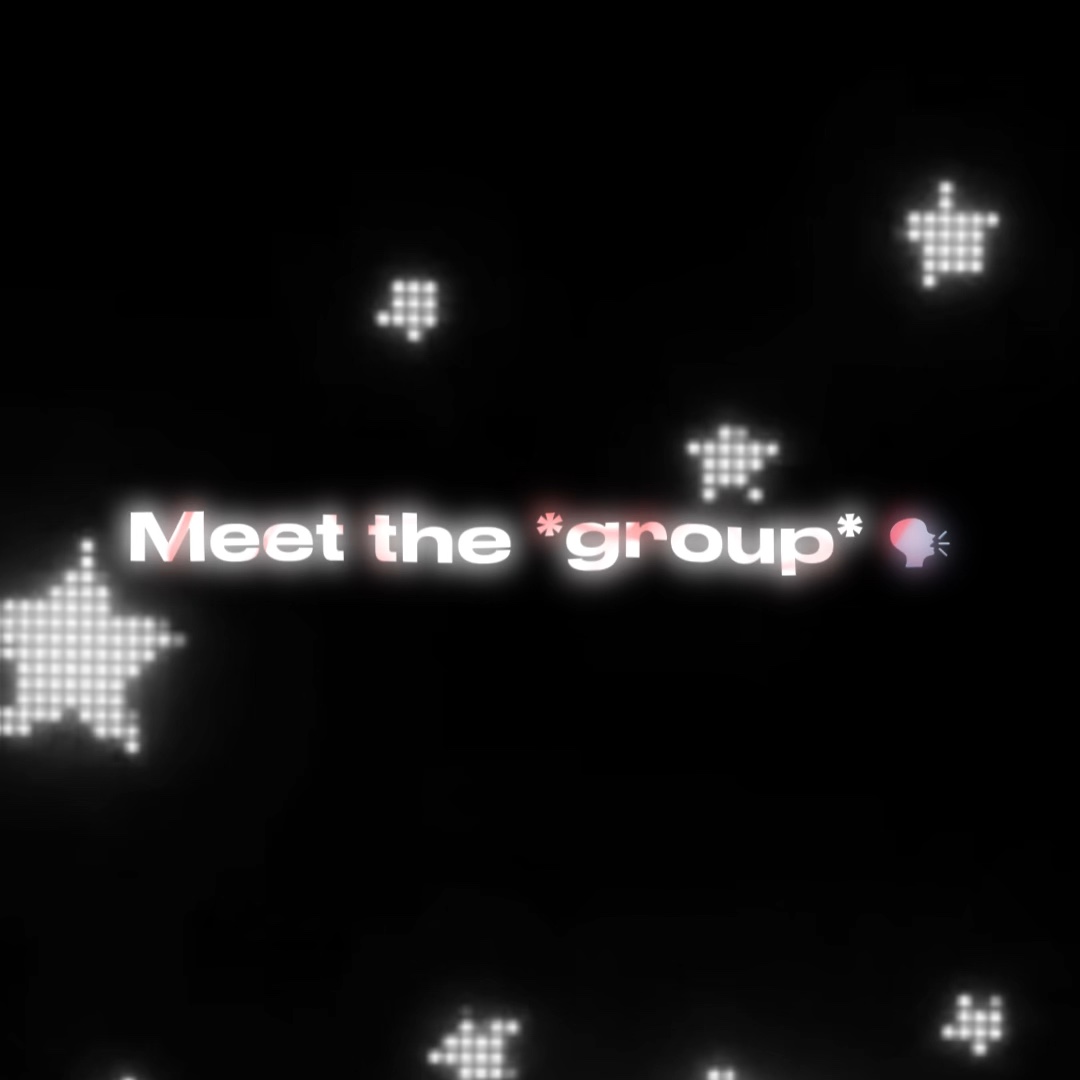 Meet The *group* 