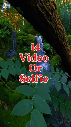 14 video or selfie