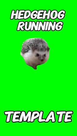 Hedgehog running