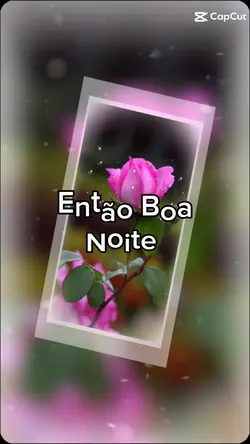 Boa noite 