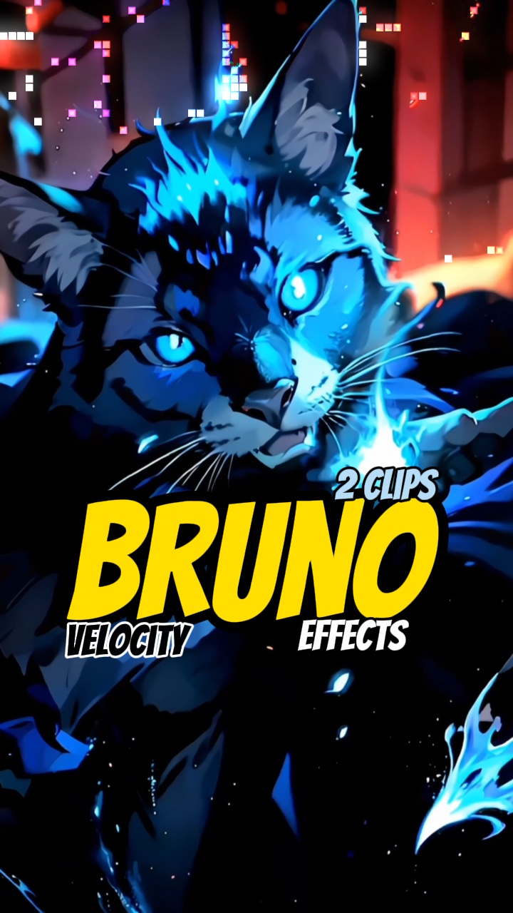 Bruno Velocity
