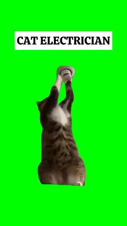 CAT ELECTRICIAN mem 