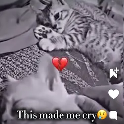 This made me cry😢