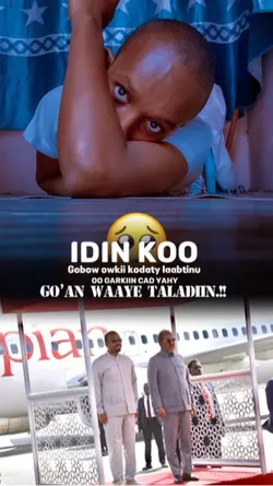 Somali Alle lee dahy